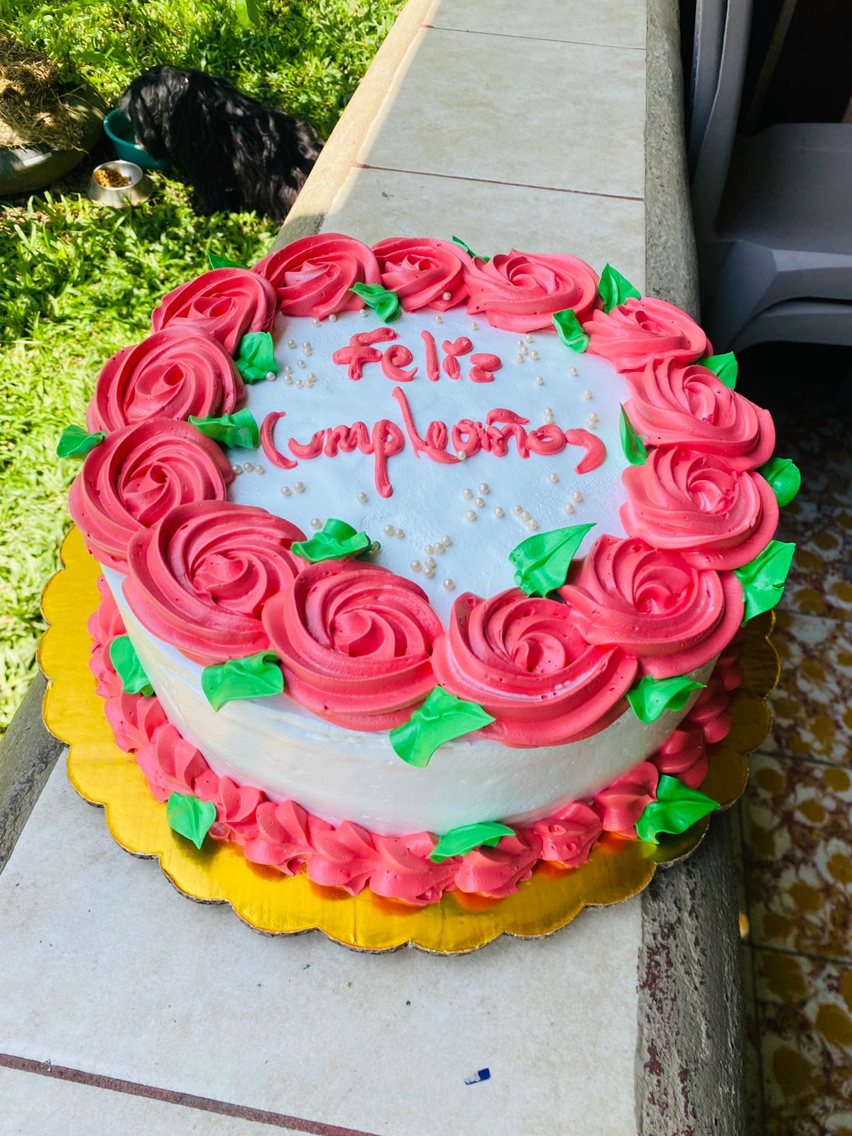 Pastel 25