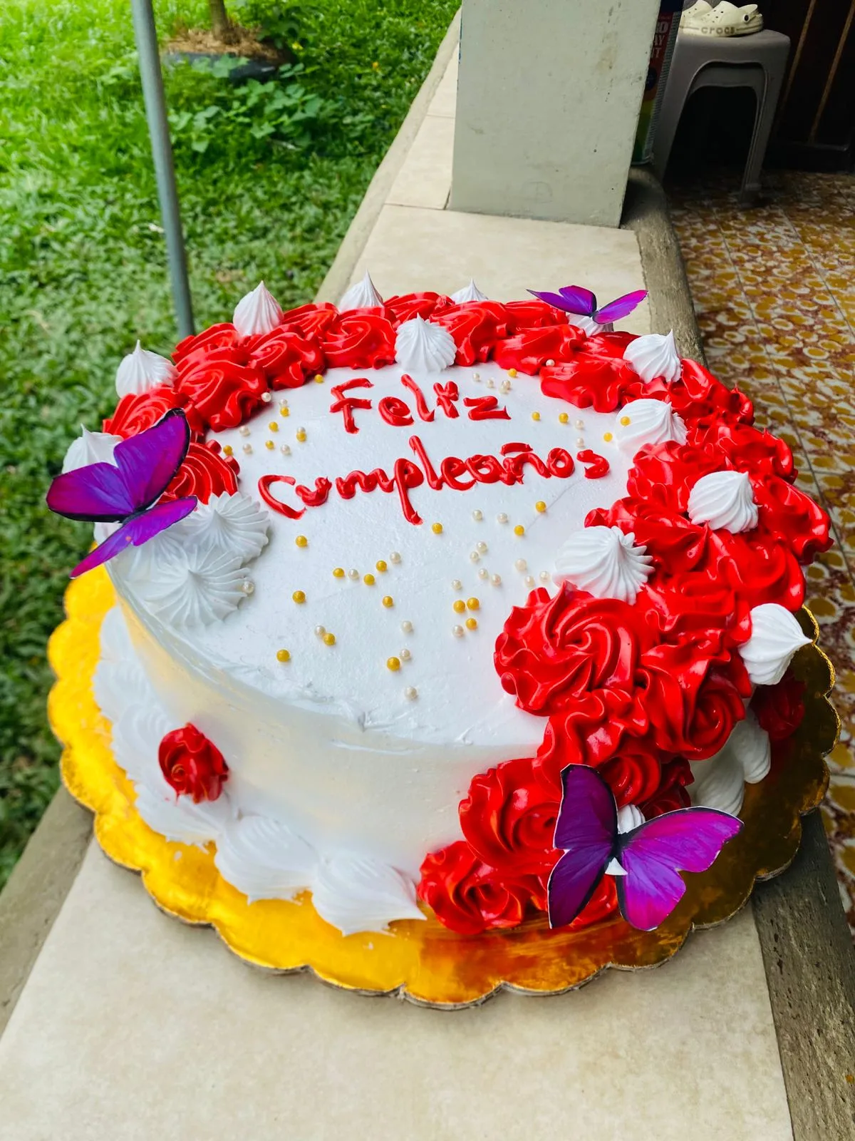 Pastel decorado AM-000074