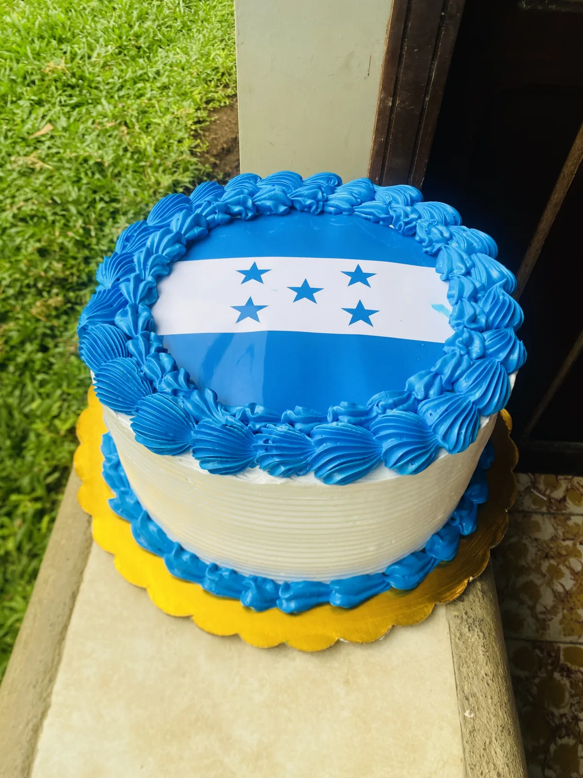 Pasteles decorados AM-000223