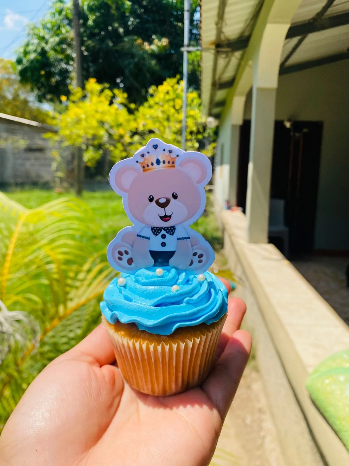 Cupcake AM-000169