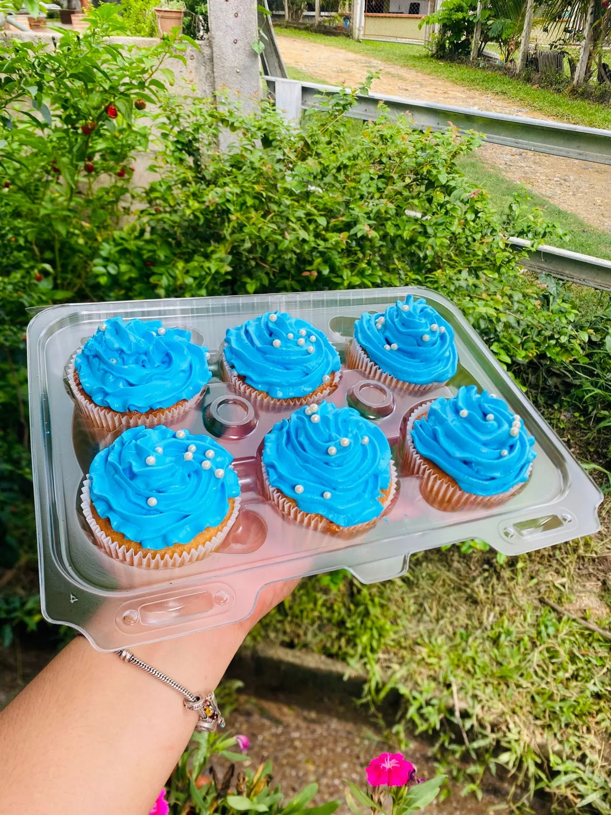 Cupcake AM-000174