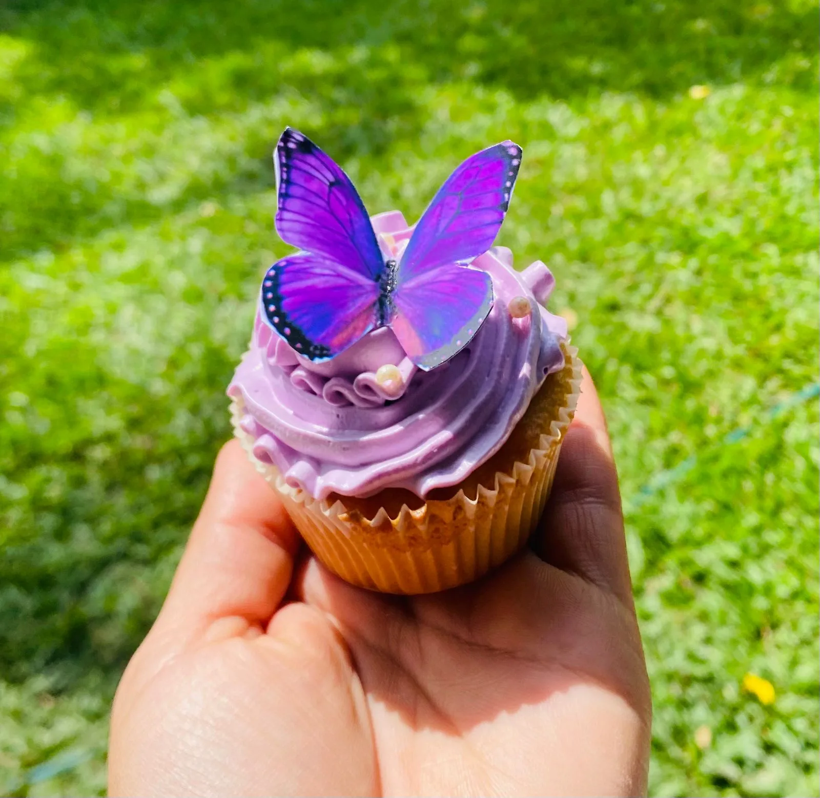 Cupcake AM-000168
