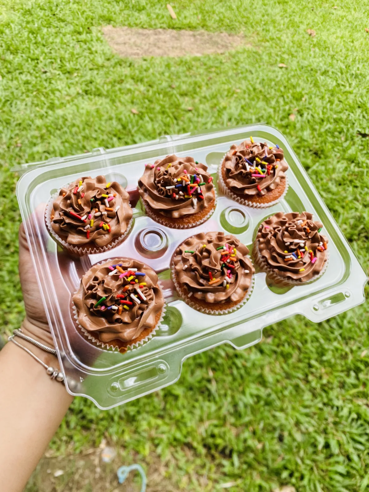 Cupcakes AM-000189