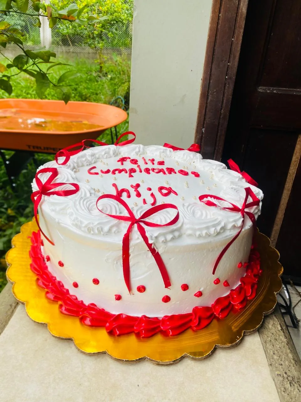 Pastel decorado AM-000040